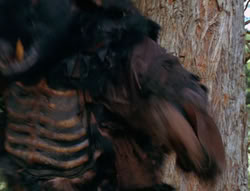 extant_XenaWarriorPrincess_6x06-TheAbyss_02631