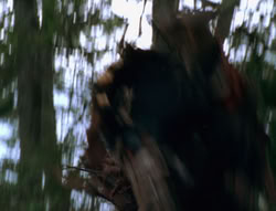 extant_XenaWarriorPrincess_6x06-TheAbyss_02633