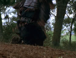 extant_XenaWarriorPrincess_6x06-TheAbyss_02634