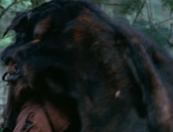 extant_XenaWarriorPrincess_6x06-TheAbyss_02639