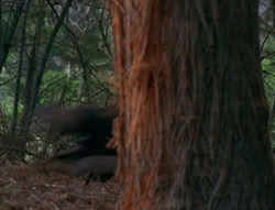 extant_XenaWarriorPrincess_6x06-TheAbyss_02653
