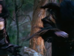 extant_XenaWarriorPrincess_6x06-TheAbyss_02659