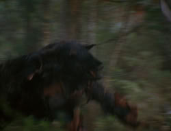 extant_XenaWarriorPrincess_6x06-TheAbyss_02701