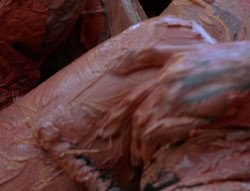 extant_XenaWarriorPrincess_6x06-TheAbyss_02721