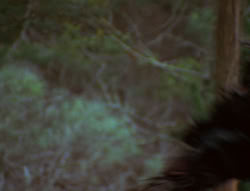 extant_XenaWarriorPrincess_6x06-TheAbyss_02741