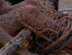 extant_XenaWarriorPrincess_6x06-TheAbyss_02794