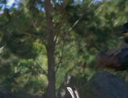 extant_XenaWarriorPrincess_6x06-TheAbyss_02905
