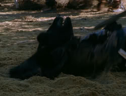 extant_XenaWarriorPrincess_6x06-TheAbyss_02933