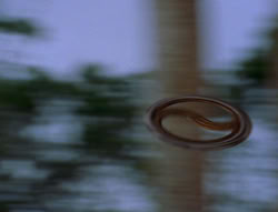 extant_XenaWarriorPrincess_6x06-TheAbyss_02998