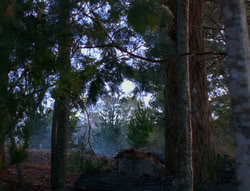 extant_XenaWarriorPrincess_6x06-TheAbyss_03032