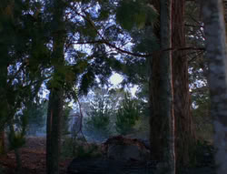extant_XenaWarriorPrincess_6x06-TheAbyss_03033