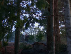 extant_XenaWarriorPrincess_6x06-TheAbyss_03034