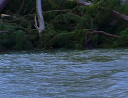 extant_XenaWarriorPrincess_6x06-TheAbyss_03050