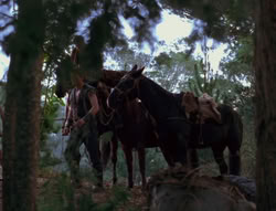 extant_XenaWarriorPrincess_6x06-TheAbyss_03087