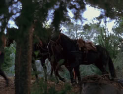 extant_XenaWarriorPrincess_6x06-TheAbyss_03089