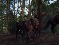 extant_XenaWarriorPrincess_6x06-TheAbyss_03090