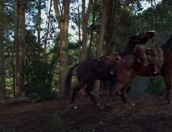 extant_XenaWarriorPrincess_6x06-TheAbyss_03091
