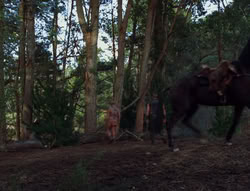extant_XenaWarriorPrincess_6x06-TheAbyss_03092