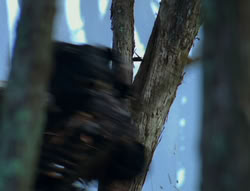 extant_XenaWarriorPrincess_6x06-TheAbyss_03094