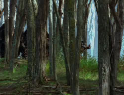 extant_XenaWarriorPrincess_6x06-TheAbyss_03097