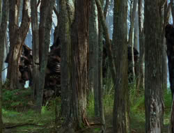 extant_XenaWarriorPrincess_6x06-TheAbyss_03099