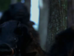 extant_XenaWarriorPrincess_6x06-TheAbyss_03104