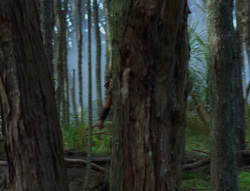 extant_XenaWarriorPrincess_6x06-TheAbyss_03115