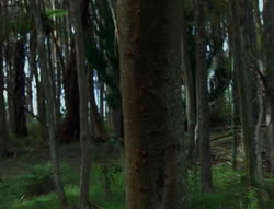 extant_XenaWarriorPrincess_6x06-TheAbyss_03119