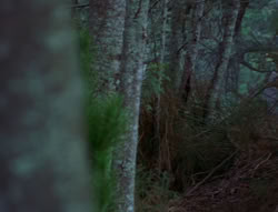 extant_XenaWarriorPrincess_6x06-TheAbyss_03121