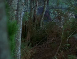 extant_XenaWarriorPrincess_6x06-TheAbyss_03125