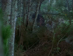 extant_XenaWarriorPrincess_6x06-TheAbyss_03134