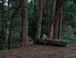 extant_XenaWarriorPrincess_6x06-TheAbyss_03136
