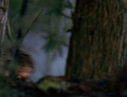 extant_XenaWarriorPrincess_6x06-TheAbyss_03140
