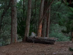 extant_XenaWarriorPrincess_6x06-TheAbyss_03150