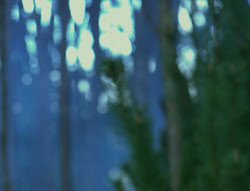 extant_XenaWarriorPrincess_6x06-TheAbyss_03155