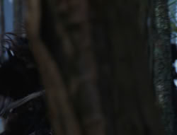 extant_XenaWarriorPrincess_6x06-TheAbyss_03199