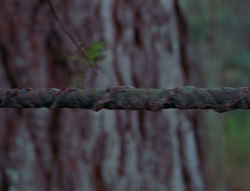 extant_XenaWarriorPrincess_6x06-TheAbyss_03265