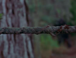 extant_XenaWarriorPrincess_6x06-TheAbyss_03266