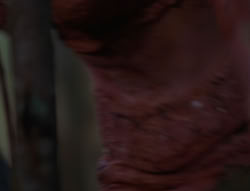 extant_XenaWarriorPrincess_6x06-TheAbyss_03272