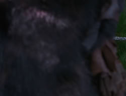 extant_XenaWarriorPrincess_6x06-TheAbyss_03274
