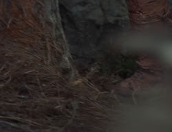 extant_XenaWarriorPrincess_6x06-TheAbyss_03279