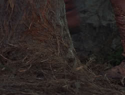 extant_XenaWarriorPrincess_6x06-TheAbyss_03280
