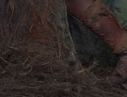 extant_XenaWarriorPrincess_6x06-TheAbyss_03281