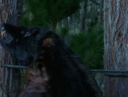 extant_XenaWarriorPrincess_6x06-TheAbyss_03311