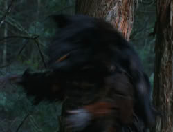 extant_XenaWarriorPrincess_6x06-TheAbyss_03383