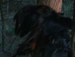 extant_XenaWarriorPrincess_6x06-TheAbyss_03384