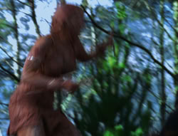 extant_XenaWarriorPrincess_6x06-TheAbyss_03394