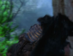 extant_XenaWarriorPrincess_6x06-TheAbyss_03403