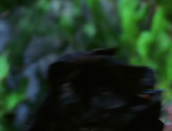 extant_XenaWarriorPrincess_6x06-TheAbyss_03415