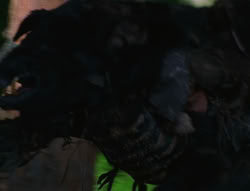 extant_XenaWarriorPrincess_6x06-TheAbyss_03434